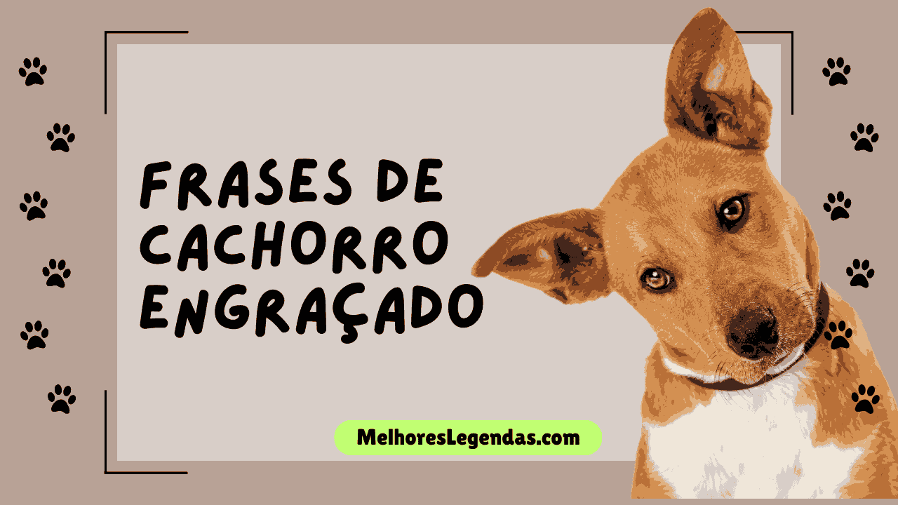 30+ Frases de Cachorro Engraçado