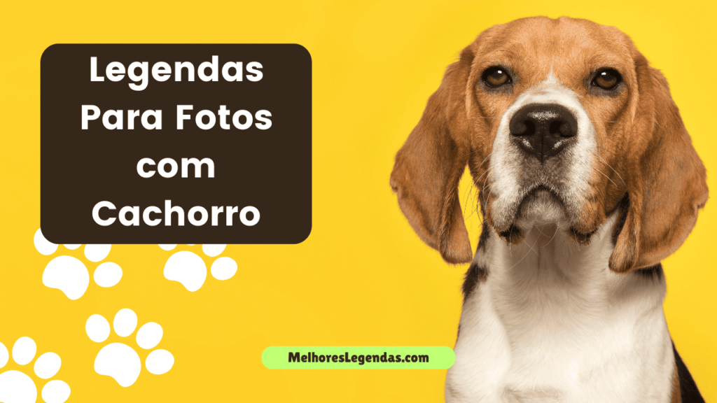 Legendas Para Fotos com Cachorro