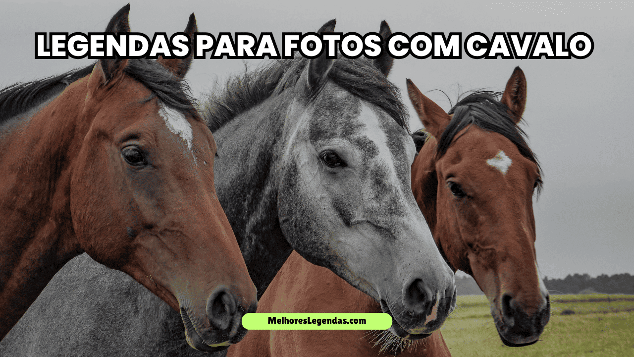 Legendas Para Fotos com Cavalo