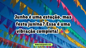 Legenda Para Foto Com Roupa De Festa Junina