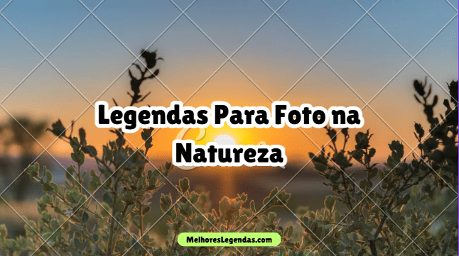 Legendas Para Foto na Natureza